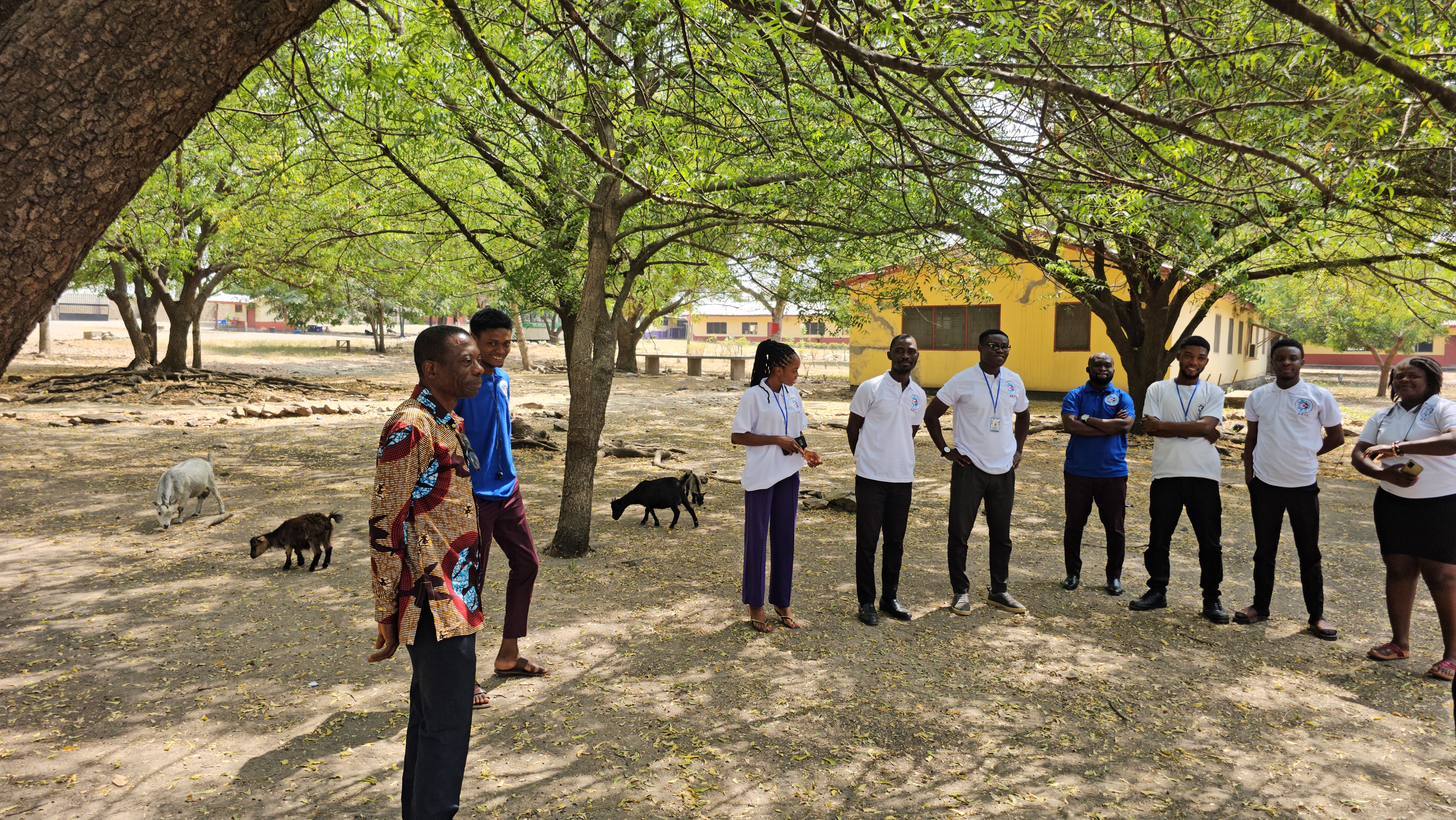 Highway Construction